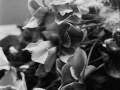 IMG_20131118_0025.jpg